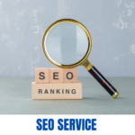 seo-services-in-kolkata
