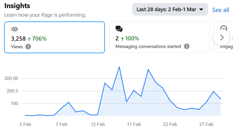 social media marketing expert