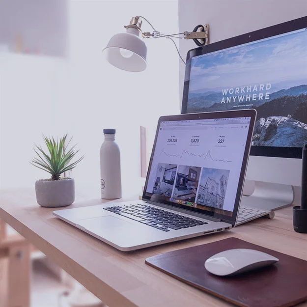 hire professional SEO expert in kolkata